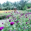 thienthanh913