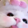kthrose3e