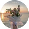 alaa.mansour497