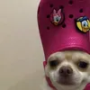 piaaaaaa348