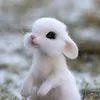 pixelpurrrfect2