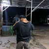 _fauzi_gank