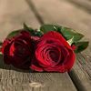 user1061396107424