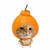chuott255