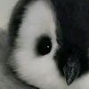 syahna_sh0p