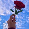 gulistan_475