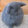 ethanbernales5