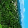 syedmohrisyedan.aly