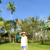 jelypatayon27