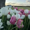 notme_rhenz122