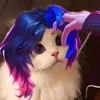 vanbao_vbr.fflq