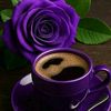 ahmad.hmode8