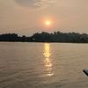 waa04617