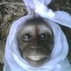 hisyyam20