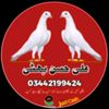 user953848164
