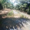 abiabiy516