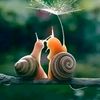 hamed__m__15