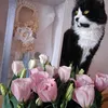 lilalove396