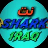 نت SHARK
