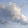 cgivayymom