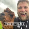 Dad Jokes LCO