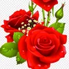 th.ngha.nguyn72
