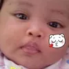 nnda_punya_daffa