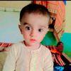 malik.shan.4646