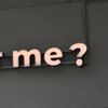 nblnes1