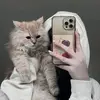 noor.queen5678