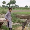 aehtisham.ali