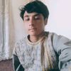 user29005841600365
