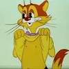 ИгривыйКот