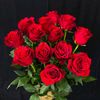 cuy.cuy.01140