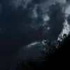 ri3l_0