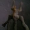 user5901924078138