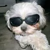 bella_backup_x