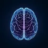 mindsciencelab