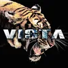 vistason