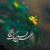 user293602914