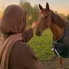 z_lilj1