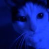ivarmeow