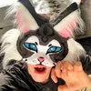 teddyfoxxxx