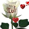 user9922227077998