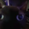 smeagolcat