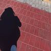 mariicanocondorch