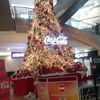 mpcaracas