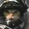 fyfer.the.rider14
