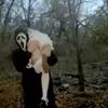 hoowits