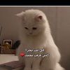 user340112047